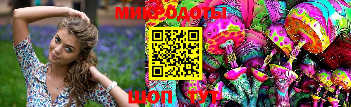 Кувандык  Псилоцибиновые грибы Psilocybine cubensis  Вход с VPN 