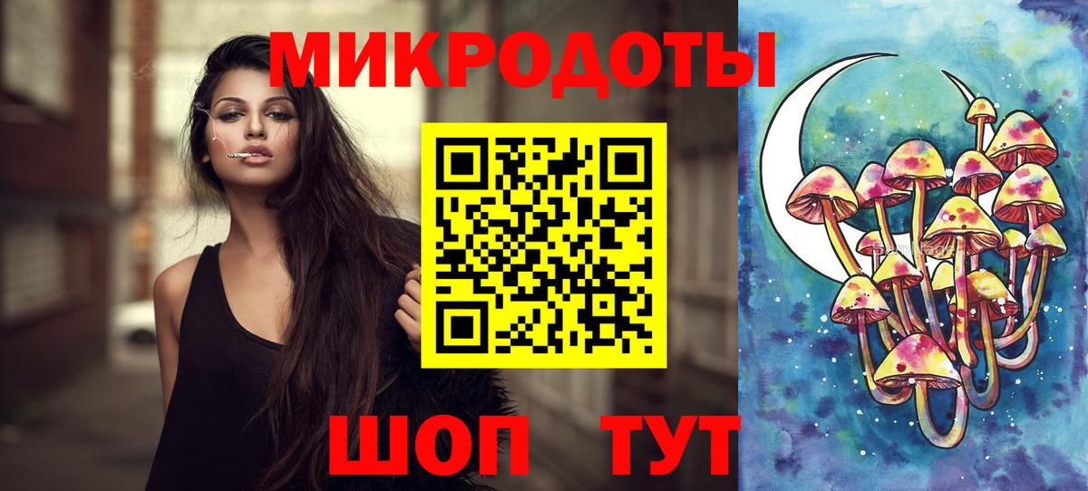 Псилоцибиновые грибы Psilocybe Кувандык